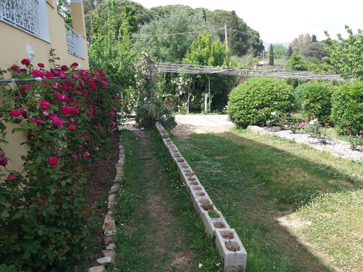 Athineos Apartments Коммено Экстерьер фото