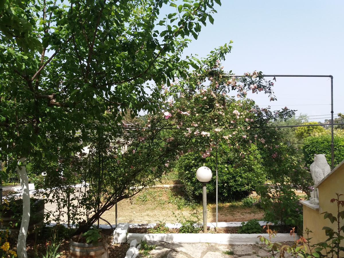 Athineos Apartments Коммено Экстерьер фото